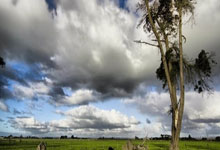 壹号娱乐：52982人现场观看国安vs蓉城，中超历史首次单轮两场比赛观众人数破5万.