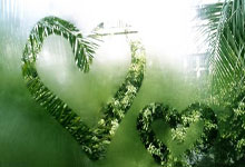 [篮球公园]CBA八强战 辽宁广东拿下开门红.